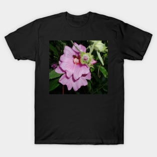 Clematis with bee. T-Shirt